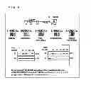 Fig. 07 - Functional nucleic acid molecule and use thereof