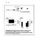 Fig. 09 - Functional nucleic acid molecule and use thereof