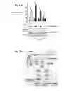 Fig. 09 - TREATMENTS FOR SOCIAL LEARNING DISORDERS