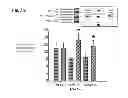 Fig. 12 - TREATMENTS FOR SOCIAL LEARNING DISORDERS