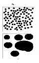 Fig. 02 - Process for producing polymer alloy, polymer alloy, and molded article