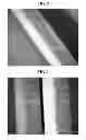Fig. 04 - Fluoroelastomer Compositions Having Self-Bonding Characteristics and Methods of Making Same