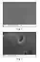 Fig. 03 - Rubber composition, method for its formation, and automotive tire containing the composition