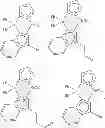 Fig. 13 - Catalysts for producing broad molecular weight distribution polyolefins in the absence of added hydrogen