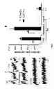 Fig. 04 - Selective targeting agents for mitochondria