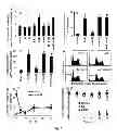 Fig. 09 - Selective targeting agents for mitochondria