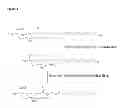 Fig. 03 - BLOOD COAGULATION PROTEIN CONJUGATES