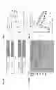 Fig. 13 - Methods of use of soluble CD24 for therapy of rheumatoid arthritis