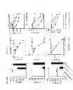 Fig. 17 - Methods of use of soluble CD24 for therapy of rheumatoid arthritis