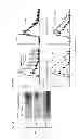 Fig. 18 - Methods of use of soluble CD24 for therapy of rheumatoid arthritis