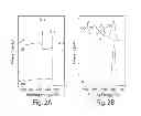 Fig. 03 - METHODS INVOLVING GRAPHENE AND FUNCTIONALIZED GRAPHENE