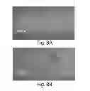 Fig. 08 - METHODS INVOLVING GRAPHENE AND FUNCTIONALIZED GRAPHENE