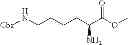 Fig. 20 - Chemoselective enrichment for compound isolation