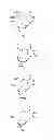 Fig. 02 - Photoresponsive nucleic acid manufacturing method