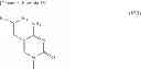 Fig. 16 - Photoresponsive nucleic acid manufacturing method