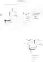 Fig. 36 - Photoresponsive nucleic acid manufacturing method