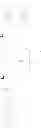 Fig. 40 - Photoresponsive nucleic acid manufacturing method