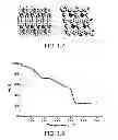 Fig. 05 - POLYHEDRAL CAGE-CONTAINING METALLOPORPHYRIN FRAMEWORKS, METHODS OF MAKING, AND METHODS OF USING