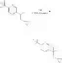 Fig. 40 - Benzamides