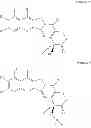Fig. 24 - Camptothecin derivative, and preparation method thereof, and pharmaceutical composition and application