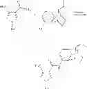 Fig. 81 - Methods for the preparation of aryl amides