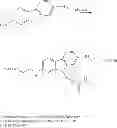 Fig. 75 - Methods for preparing polymeric reagents