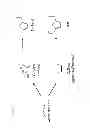 Fig. 02 - Method to convert biomass to 5-(hydroxymethyl)-furfural (HMF) and furfural using lactones, furans, and pyrans as solvents