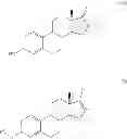 Fig. 04 - Process for the production of estetrol intermediates