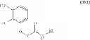 Fig. 110 - Processes and intermediates for making sweet taste enhancers