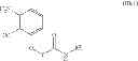 Fig. 59 - Processes and intermediates for making sweet taste enhancers