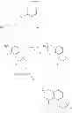 Fig. 85 - Processes and intermediates for making sweet taste enhancers
