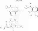 Fig. 92 - Processes and intermediates for making sweet taste enhancers