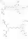 Fig. 28 - Dendrimers and methods for their preparation