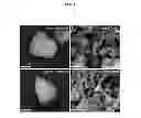Fig. 09 - Hydroxide catalysts for lignin depolymerization
