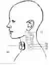 Fig. 01 - Methods and devices for treating primary headache