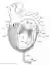 Fig. 01 - Cardiac treatment system and method