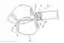 Fig. 01 - ENDOSCOPIC INSTRUMENT HAVING REDUCED DIAMETER FLEXIBLE SHAFT