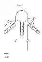 Fig. 10 - DBS and heart electrical stimulation and measurements with multiple electrodes