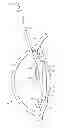 Fig. 01 - DEVICES, SYSTEMS, AND METHODS FOR INTRAOCULAR MEASUREMENTS