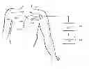 Fig. 01 - INTERNET-BASED SYSTEM FOR COLLECTING AND ANALYZING DATA BEFORE, DURING, AND AFTER A CARDIOVASCULAR PROCEDURE