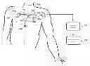 Fig. 01 - Internet-based system for evaluating ECG waveforms to determine the presence of p-mitrale and p-pulmonale