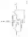 Fig. 15 - Internet-based system for evaluating ECG waveforms to determine the presence of p-mitrale and p-pulmonale