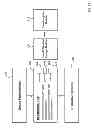 Fig. 17 - Internet-based system for evaluating ECG waveforms to determine the presence of p-mitrale and p-pulmonale