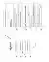 Fig. 04 - Internet-based system for evaluating ECG waveforms to estimate the degree of coronary blockage