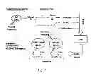 Fig. 02 - Method and system for destroying adipose tissue non-invasively and accelerating lipid metabolism