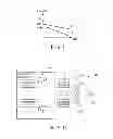 Fig. 09 - ULTRASONIC IRRADIATION APPARATUS AND METHOD FOR IRRADIATING ULTRASONIC WAVE