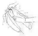 Fig. 01 - Heel protector and corresponding rehabilitation systems and methods for using the same