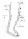 Fig. 01 - Pressurized liquid cast