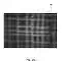Fig. 06 - Compressive oxygen diffusive wound dressings