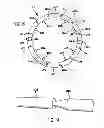 Fig. 08 - Nerve coaptation apparatus
